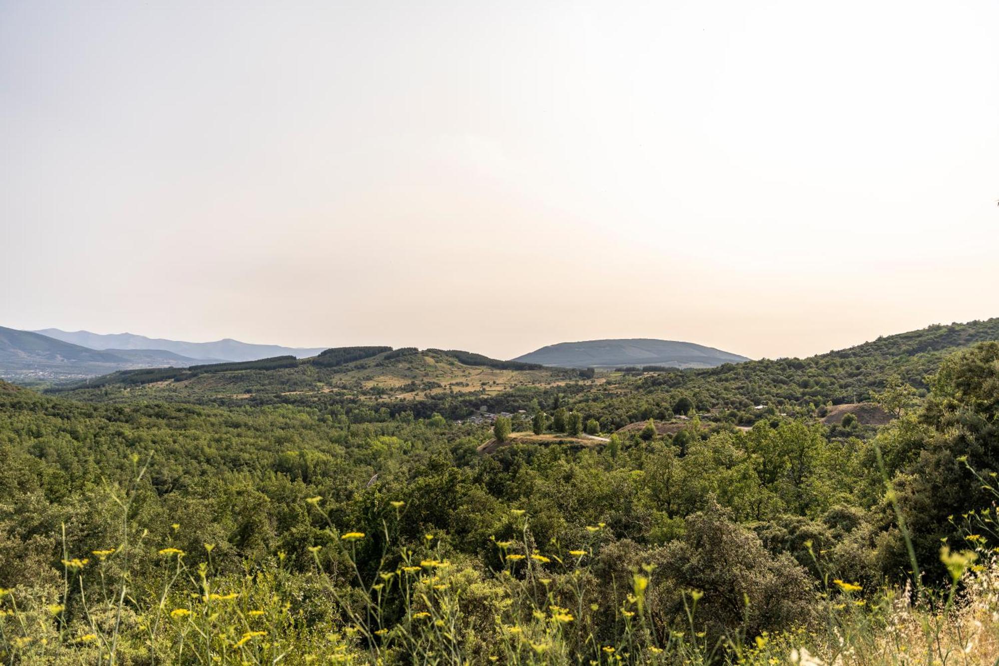 Casa De Turismo Rural Sardom3 Bembibre  エクステリア 写真