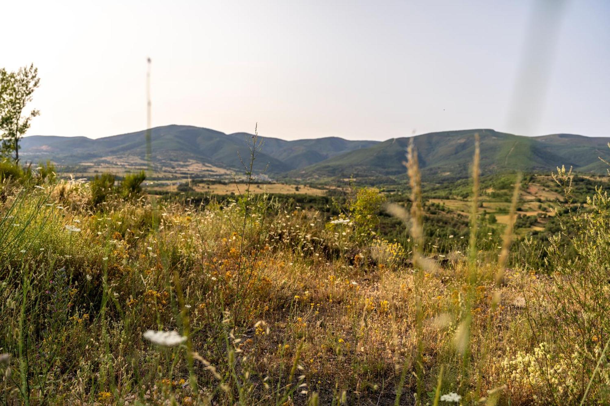 Casa De Turismo Rural Sardom3 Bembibre  エクステリア 写真